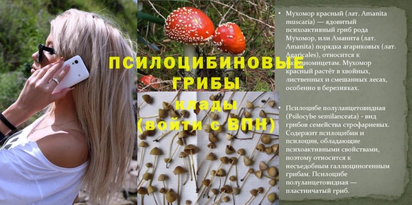 спиды Костерёво