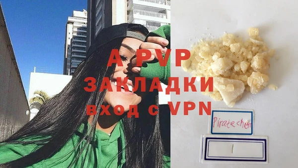 амф Корсаков