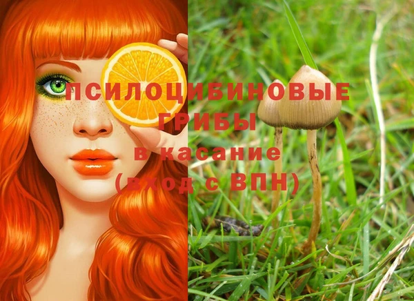 ALPHA PVP Красноперекопск