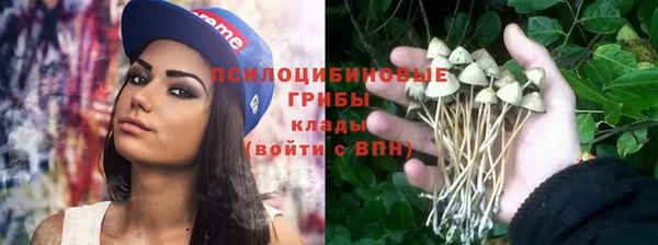 амф Корсаков